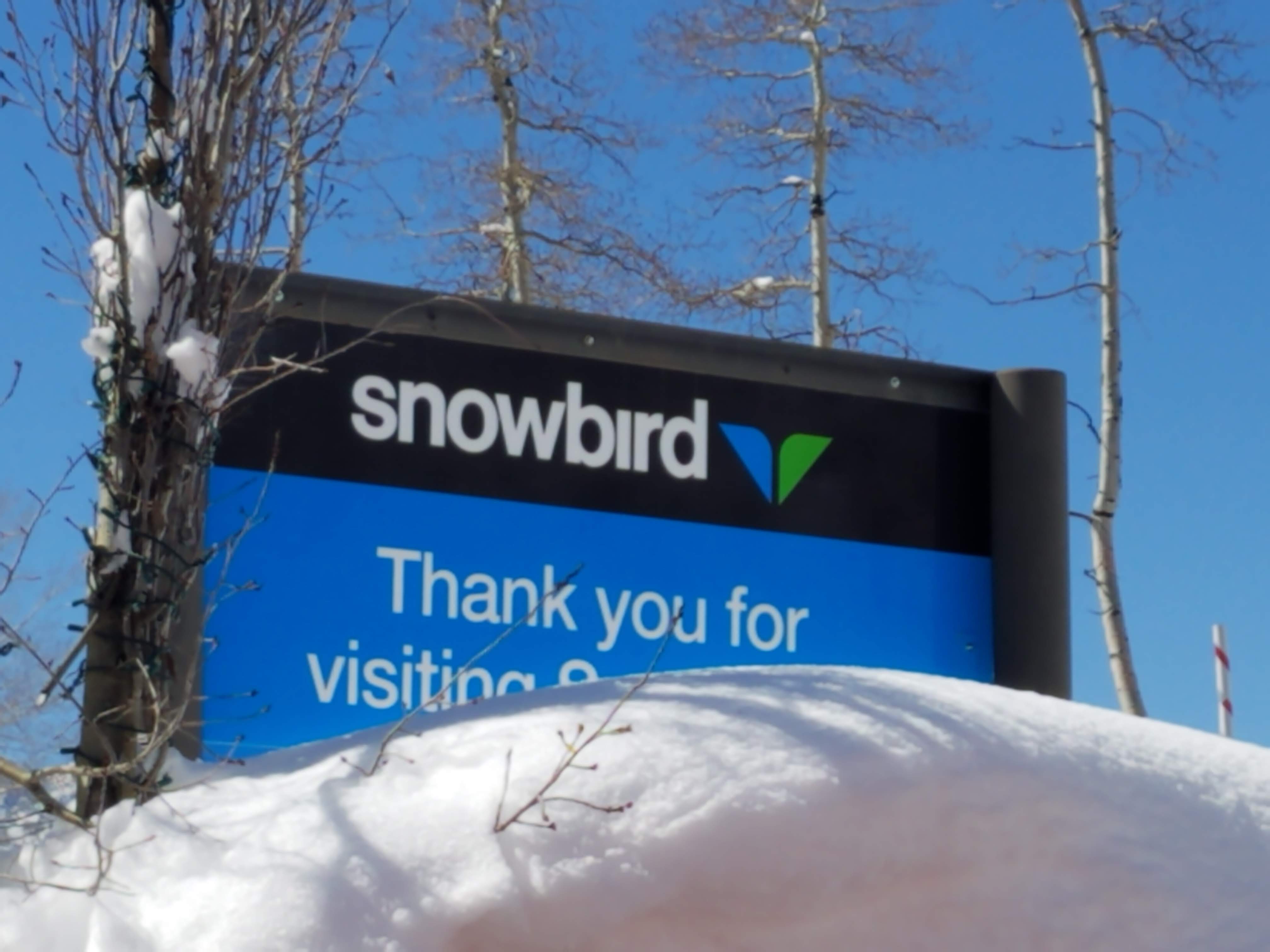 Ski Trips